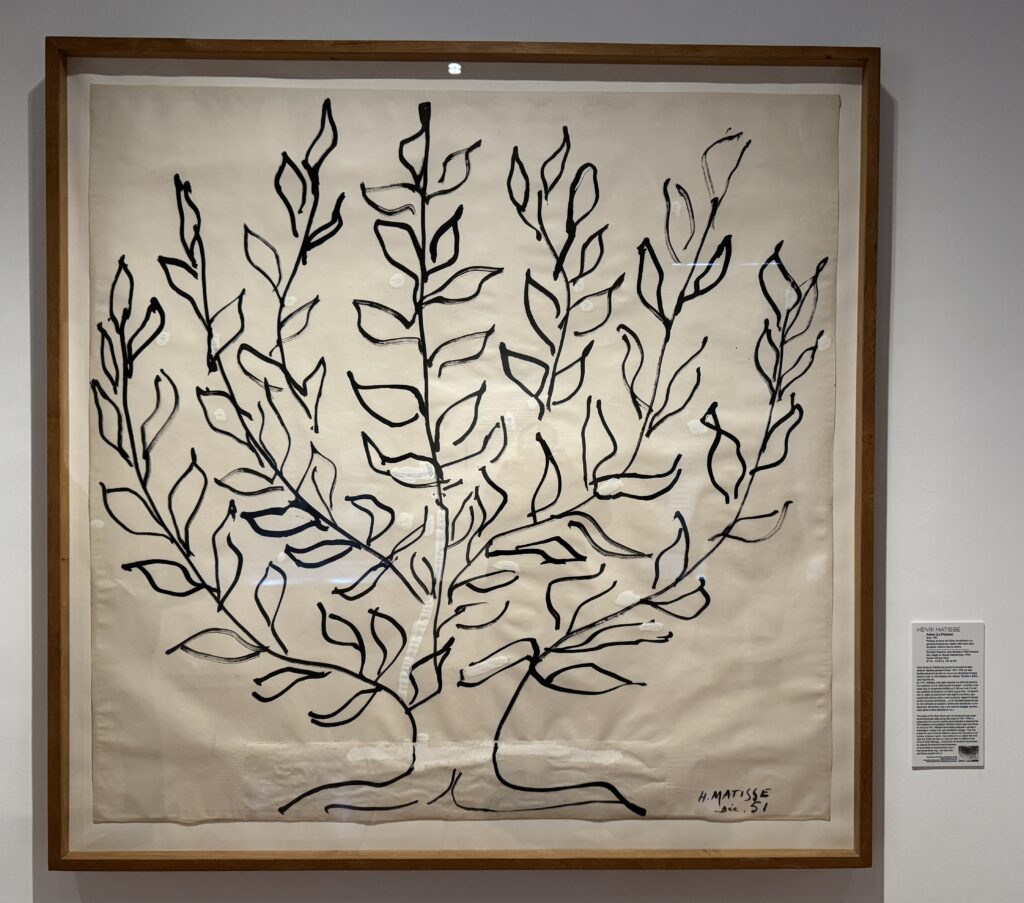 Illustration du billet consacré à La Collection au musée Matisse.