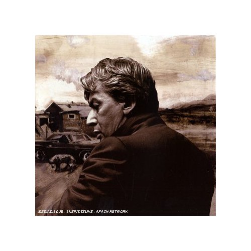 Alain_Bashung_Bleu_petrole