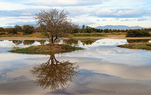 costa-brava-aiguamolls-emporda