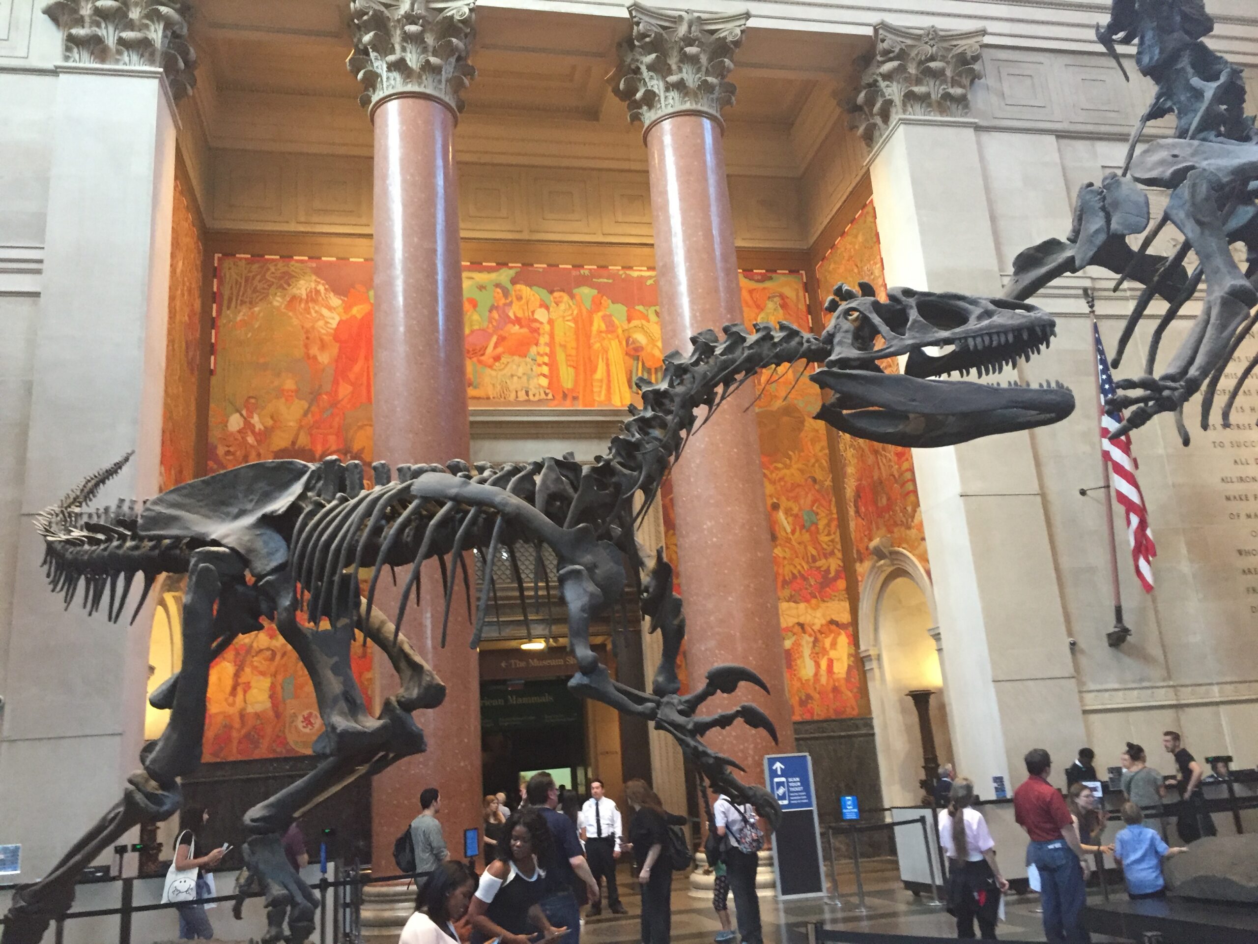 New York: musée d’histoire naturelle