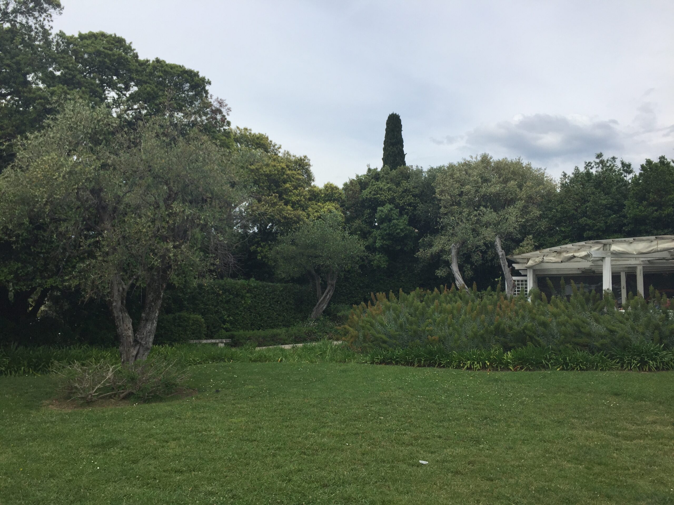 Visite du musée national Marc Chagall de Nice