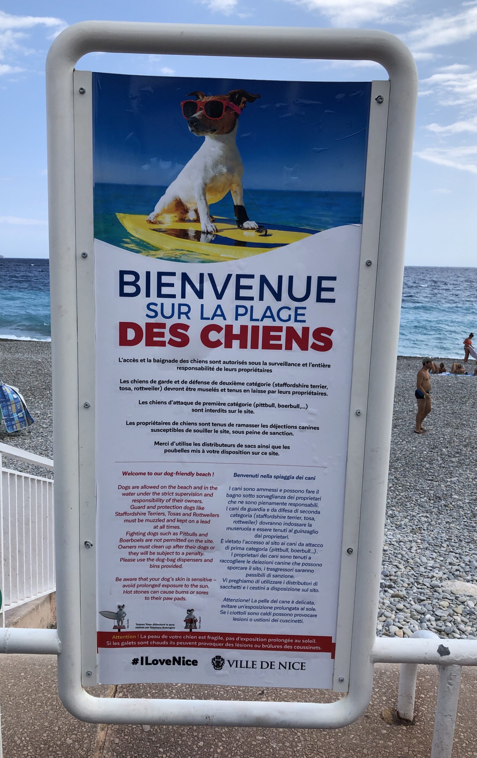 Ballade sur la Promenade des Anglais … avec “La plage des chiens”